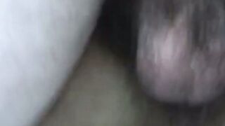 Cream Filling