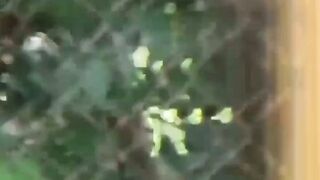 Sakura Splash Naughty Nippon Nymphs Unleash Their Bladder Bombs