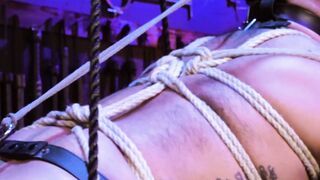 Unbridled Temptation Draven Navarro Surrenders to Jade Venuss Savage Delights