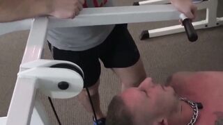 Gym Fixation