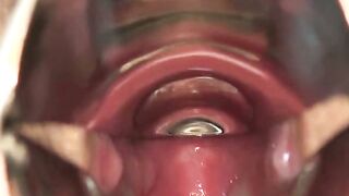 Blow by Blow Unfiltered Pleasure