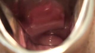 Blow by Blow Unfiltered Pleasure