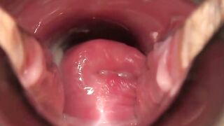 Blow by Blow Unfiltered Pleasure