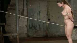 Crotch Rope Cruelty A Seductive Slaves Descent into Pleasure