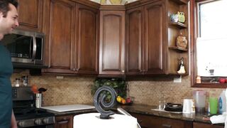 Sleek and Satisfying Cali Lees Kitchen Carnality