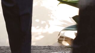 Love in the Sun