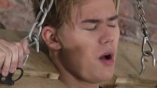 Burned and Banged A Twinks Torture