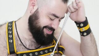 Electric Dreams Steve Brodys Raunchy Ride with Bearsilien