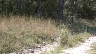 Unleashing the Beast A Savage Seduction in the Wild