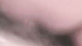 Cum For Daddy A Newbies Wild Ride