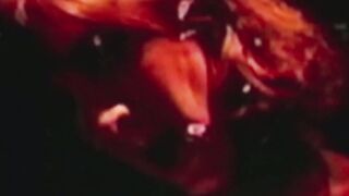 VHS Vixens A 90s Sexcapade