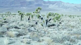 Desert Nymph beauty Experiences Human Dick inside Desert: Brandibraids