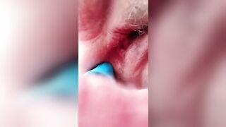 Sexywingedone loves dildos into her butt!