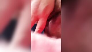 Sexywingedone loves dildos into her butt!