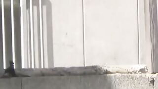 Forbidden pissshowers in public