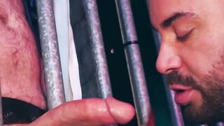Gloryhole Showdown Bruno Max, Franky Fox, and the Secret to Breeding Success