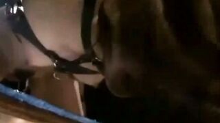 BDSM Desires A Tale of Pain and Pleasure