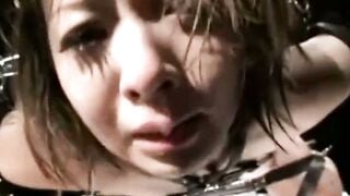 BDSM Desires A Tale of Pain and Pleasure