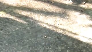 Tokyo Torrent