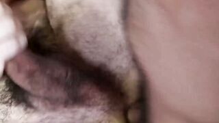 Semen Stains and Silver Foxes