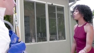 MistysmaxLength  Trap Queen Misty Stone Gets Taken Down by Lustful Hustler Brad Hart