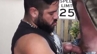 Unleashing the Beast Hawgs Wild Public Affair