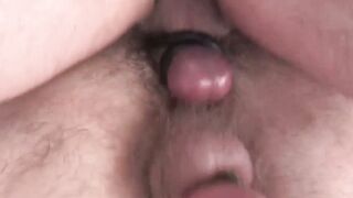 Bear Necessities Carlo Coxs Brutal Airing of Jack Dixons Tendereter