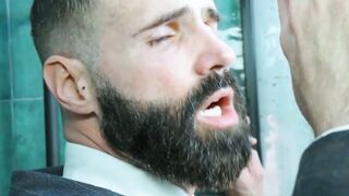Tamed by the Boardroom