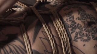 Tied Up and Ready for Anything
