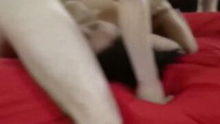 Kinky Grandmas Unleashed Lacey Stars Ultimate Orgy