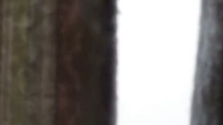 Secrets in the Shadows Hoe 4