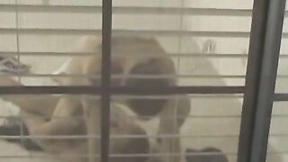 Throat Gagging, Pussy Licking, Raw intercourse with Jason Raze and Quinn Alexander