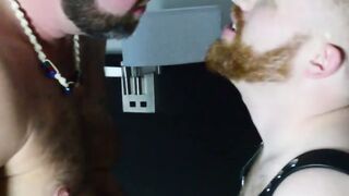 Unbridled Desire A Hairy Bears Dominant Takeover