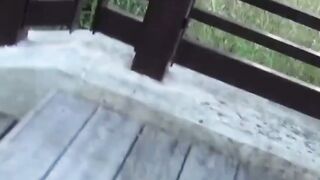 Sakura Splash Hoe 11