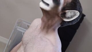 Forest Fury A Satyrs cravings for a Racoons virgin cheeks