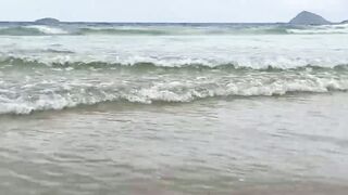 Insatiable DreamΗΝigger Hà nội