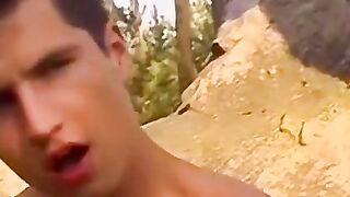 Wood You Like a Taste of Pleasure