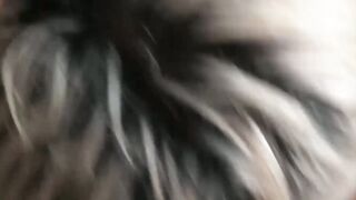 Initiation to Ecstasy