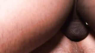 Flesh of My Flesh, Blood of My Blood A German Pornographic Odyssey