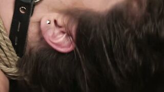 Desperate Desire Curly Cuties Brutal Backdoor Ride