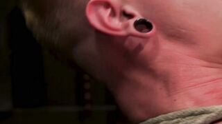 Painstakingly Pounded Cody Winters Tortured Delight