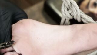 Pleasure in Suspension