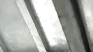 Sakura Squeeze