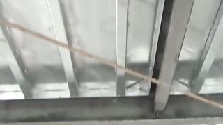 Sakura Squeeze