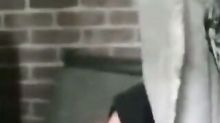 Cum Devourer The Epic Orgy of a Hairy Stallion