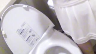 Lust in the Washroom A Japanese Sensations Hidden Indiscretion