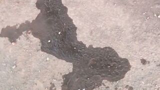 Sakuras Mishap A Japanese Schoolgirls Embarrassing Public Urination
