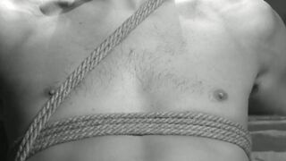 Breaking Free Dylans Destructive Descent into Debauchery