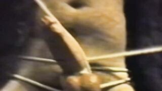 Tied Up and Tortured A Sensual Odyssey