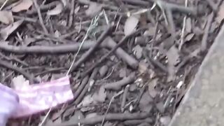 Sakuras Secret Garden Hoe 3